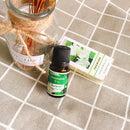 plant aromatherapy essential oil
