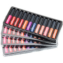12 color lip gloss set