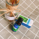 plant aromatherapy essential oil