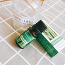 plant aromatherapy essential oil