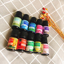 plant aromatherapy essential oil